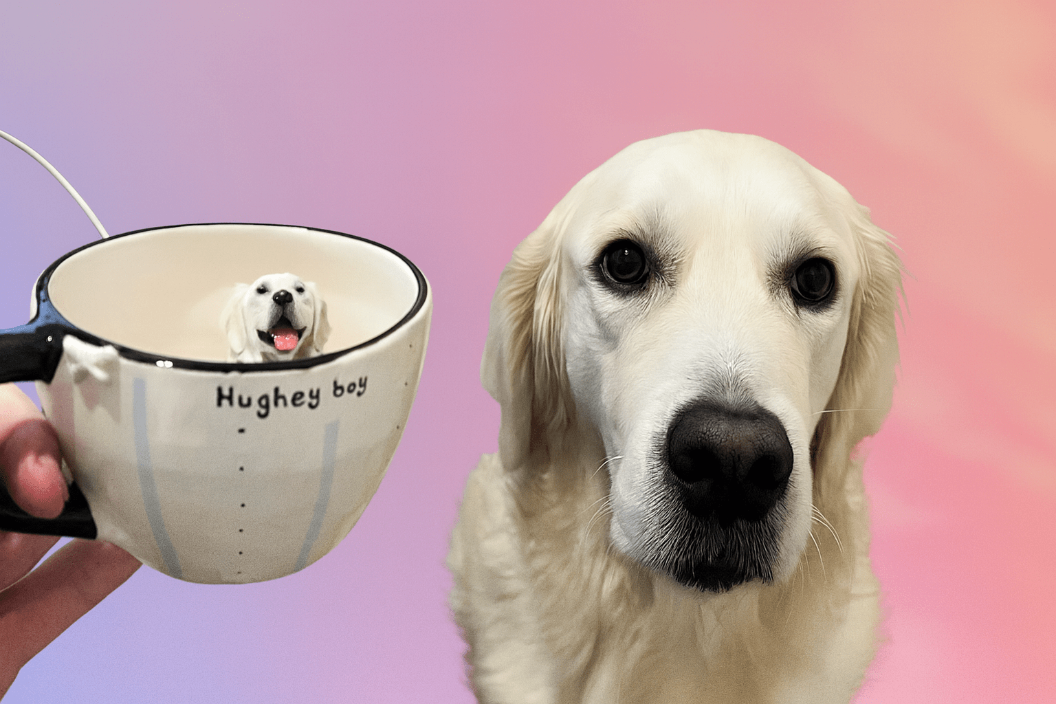 Personalized Custom Pet Mug — Turn Your Dog Into Art