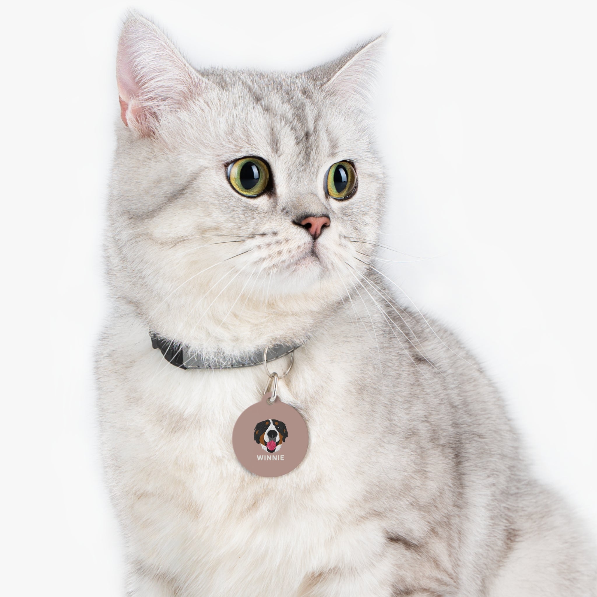 Custom round pet ID tag with personalized illustration, pet name on one side, and contact information on the other, featuring metal clip attachment.

