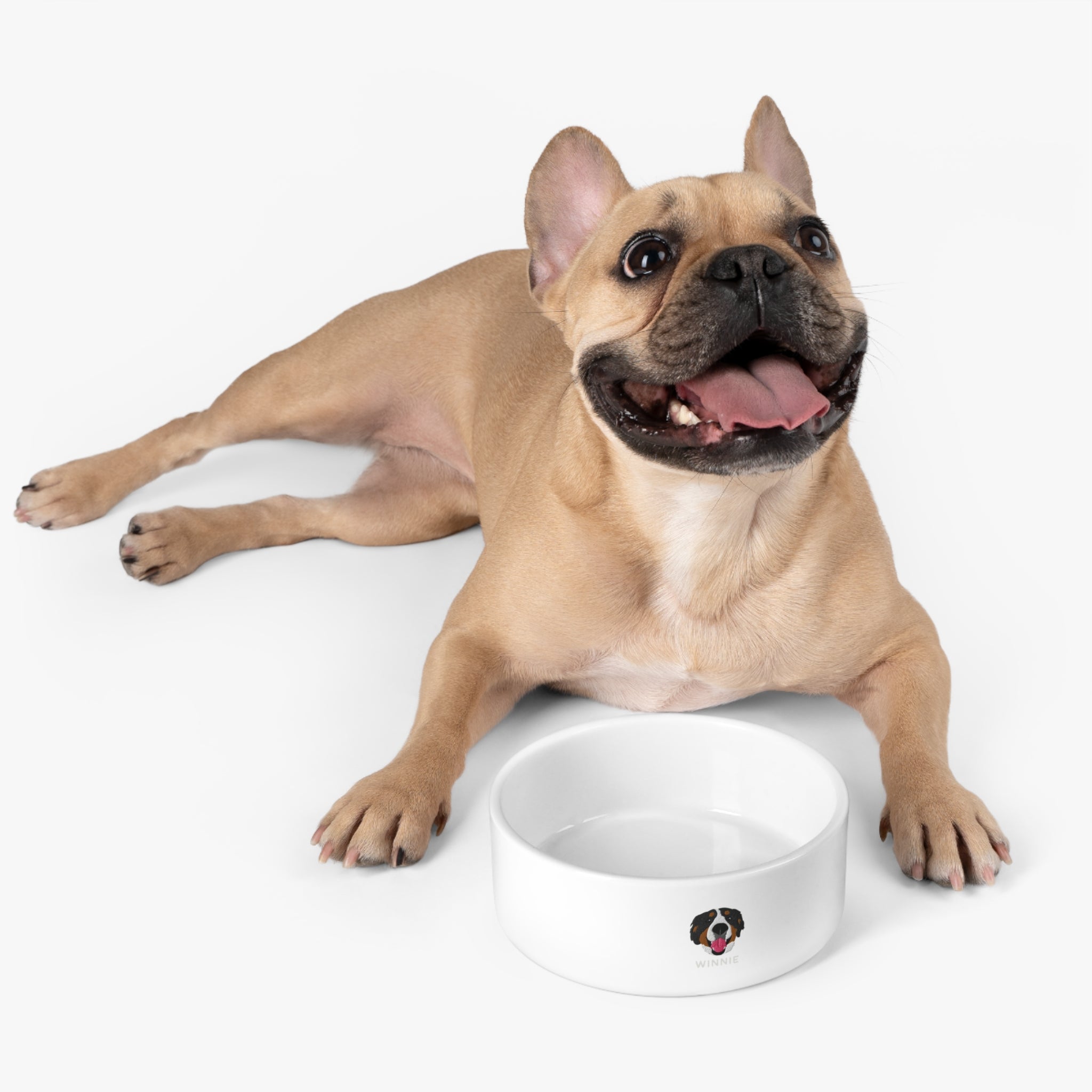 Custom Pet Bowl – Personalized Ceramic Dog or Cat Dish with Name & Portrait - Lifestyle Shot