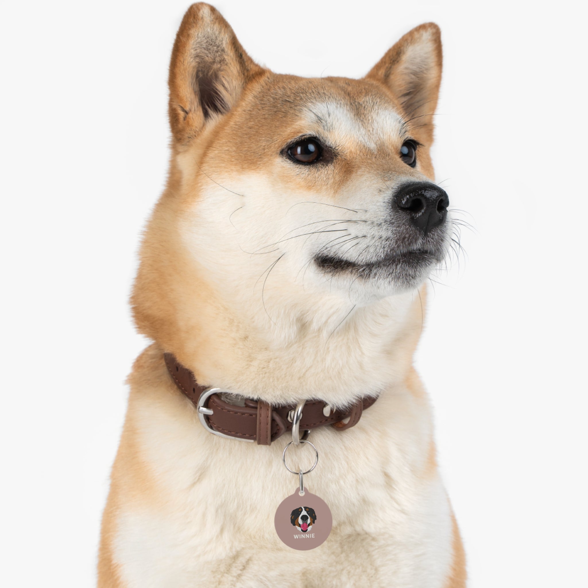 Custom round pet ID tag with personalized illustration, pet name on one side, and contact information on the other, featuring metal clip attachment.
