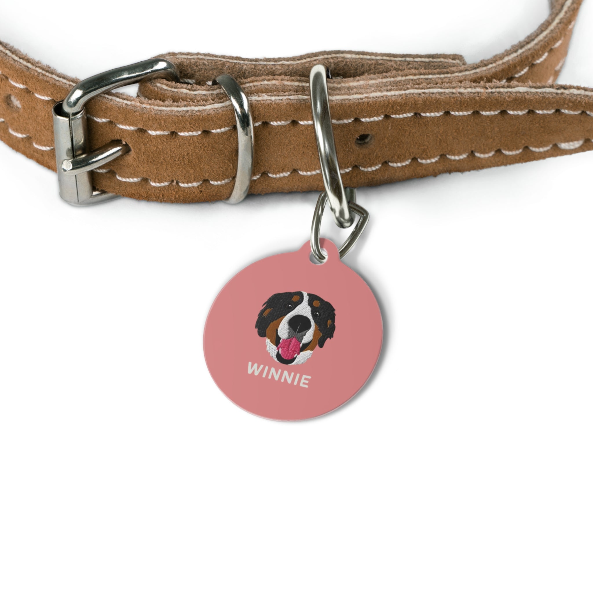 Custom round pet ID tag with personalized illustration, pet name on one side, and contact information on the other, featuring metal clip attachment.
