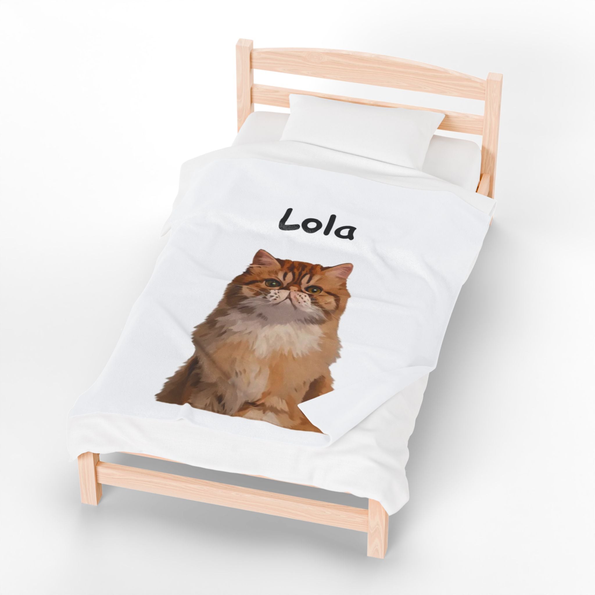 Pet portrait blanket with a custom illustrated pet and the name