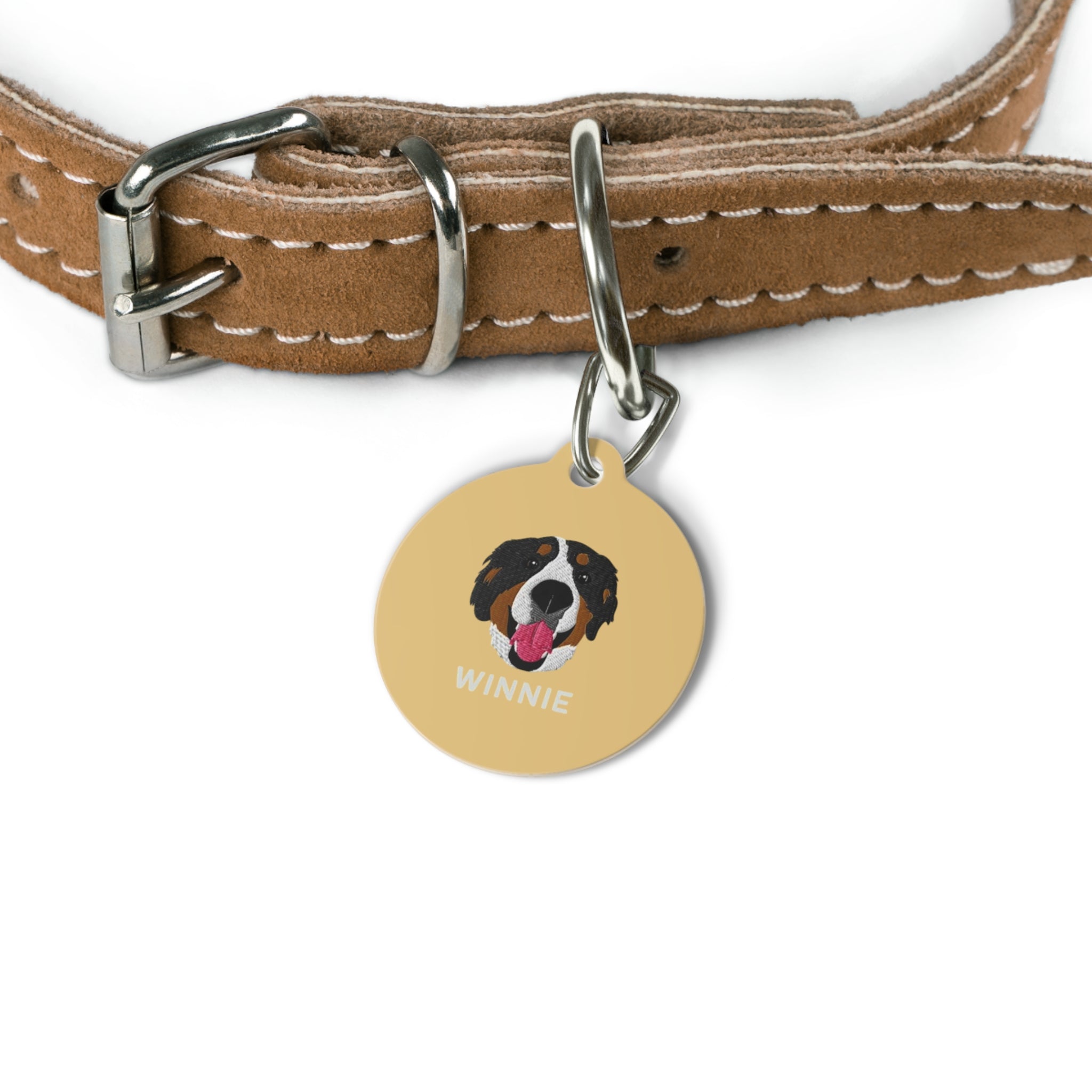 Custom round pet ID tag with personalized illustration, pet name on one side, and contact information on the other, featuring metal clip attachment.
