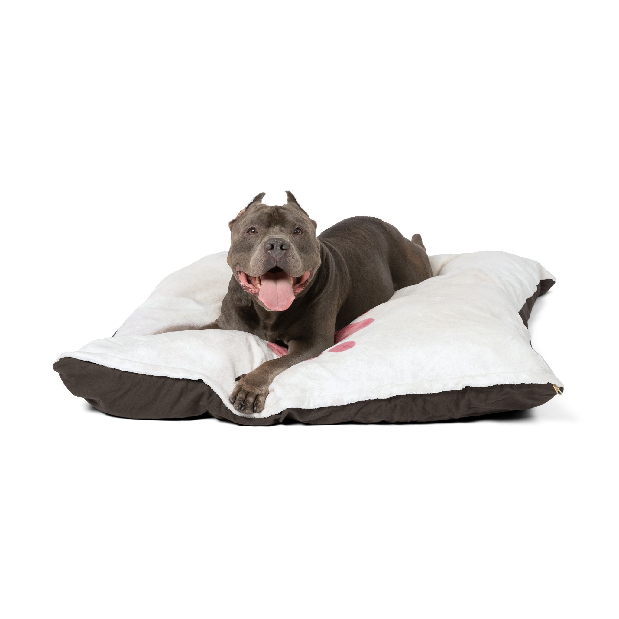Custom pet bed with heart paw design and personalized name in soft indoor fabric

