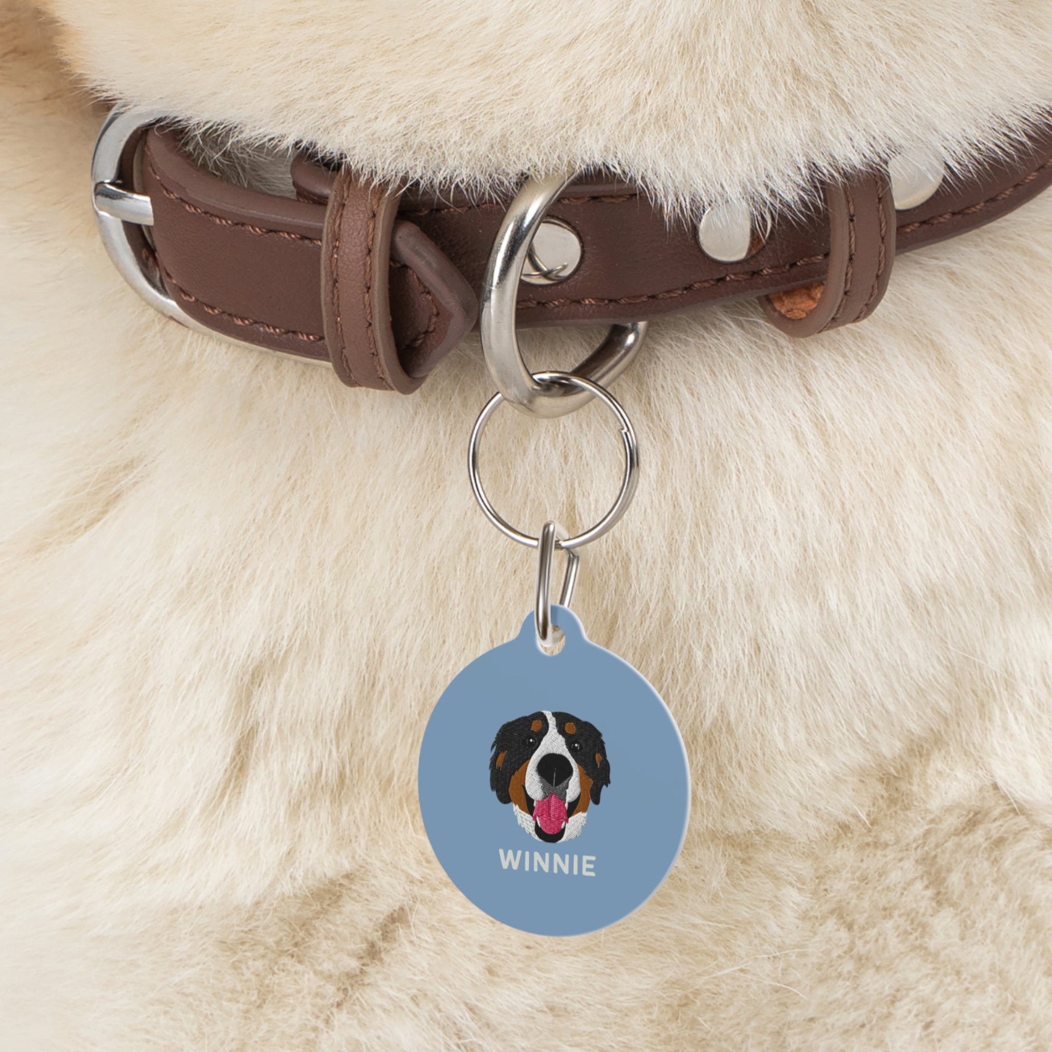Custom round pet ID tag with personalized illustration, pet name on one side, and contact information on the other, featuring metal clip attachment.
