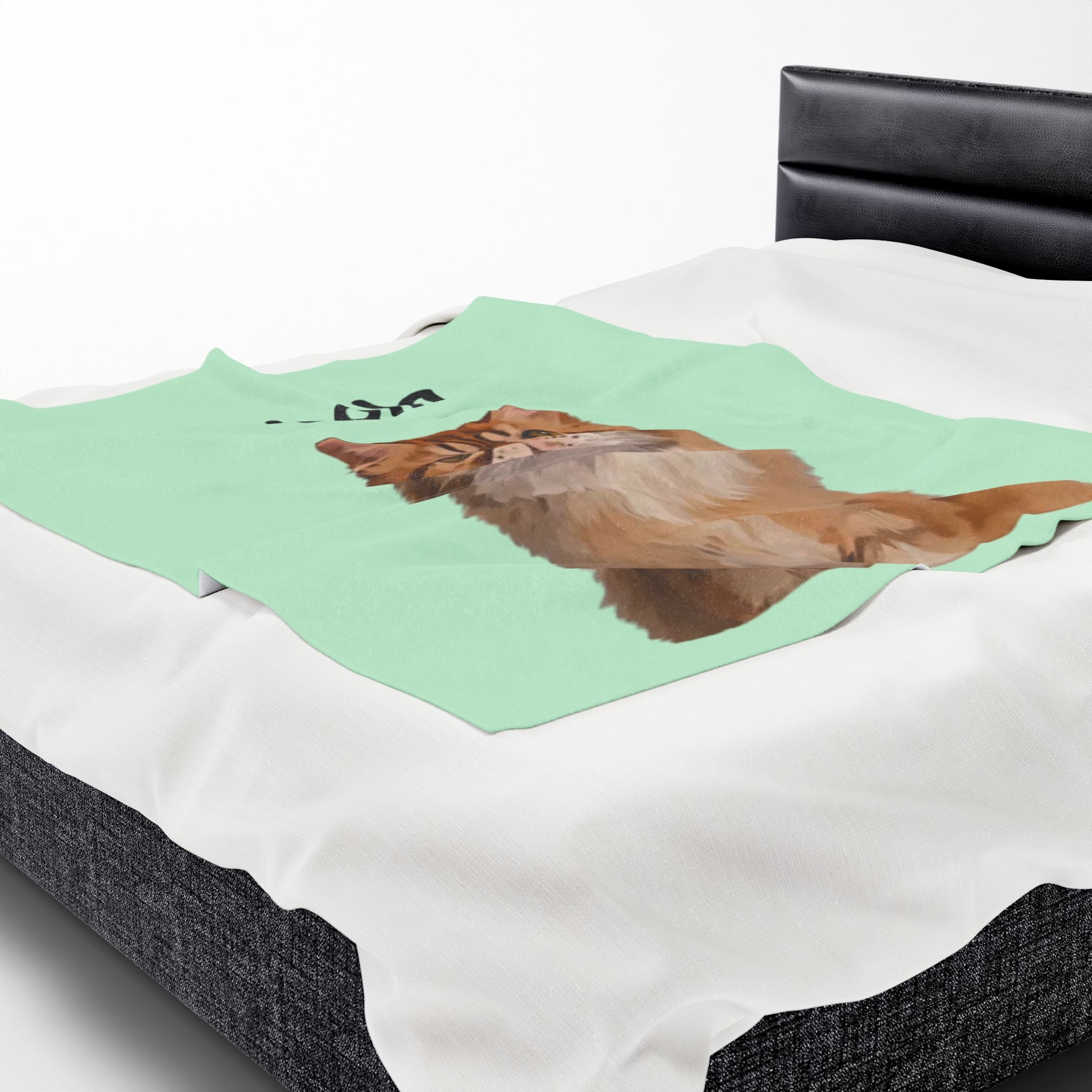 Pet portrait blanket with a custom illustrated pet and the name